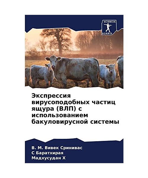 Jexpressiq wirusopodobnyh chastic qschura (VLP) s ispol'zowaniem bakulowirusnoj sistemy